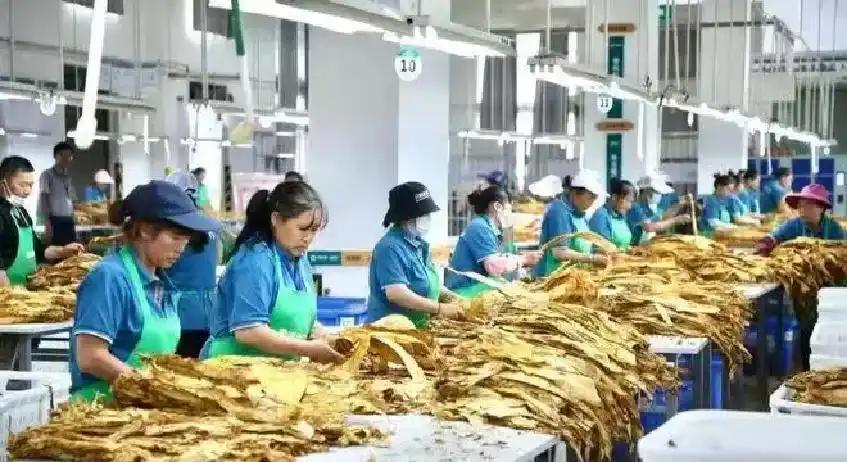 格林评文班亚马赛后离场争议