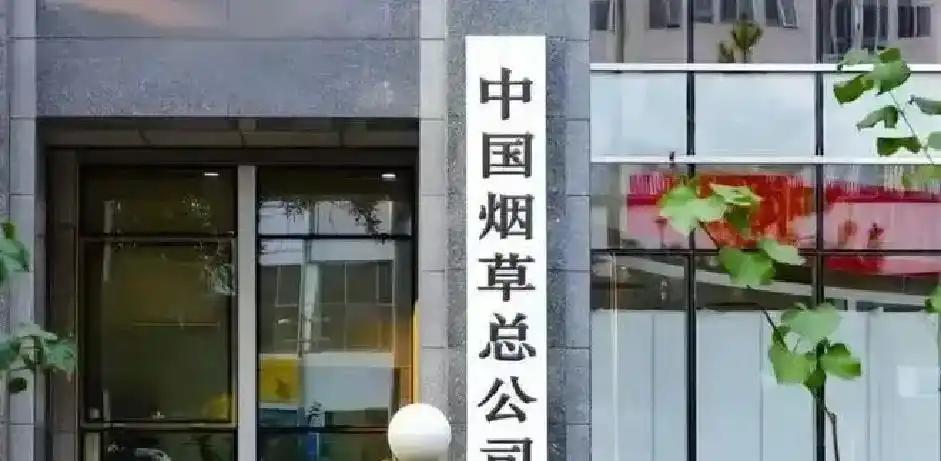 20岁零214天,本 20岁零214天,本