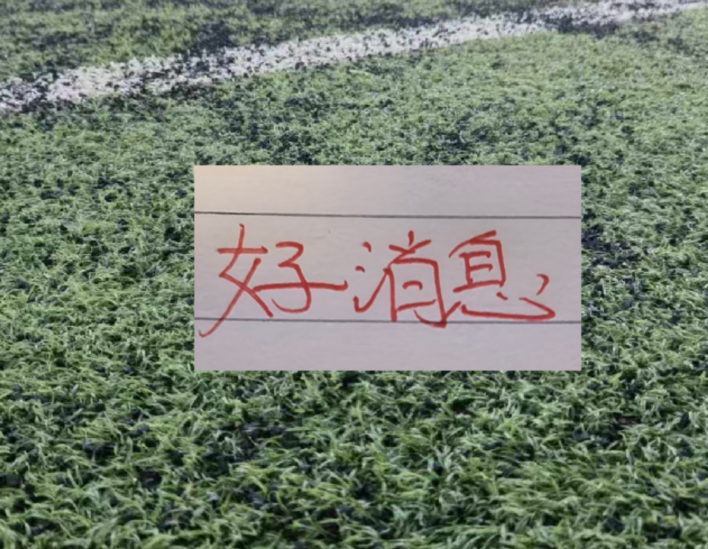荷兰主帅科曼很现实,没有60名顶级球员,世界杯不称头号热门 荷兰主帅科曼很现实,没有60名顶级球员,世界杯不称头号热门