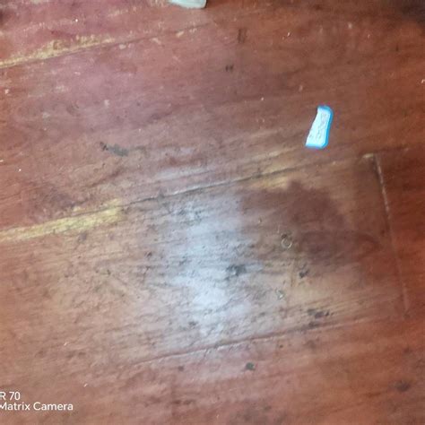 九游体育